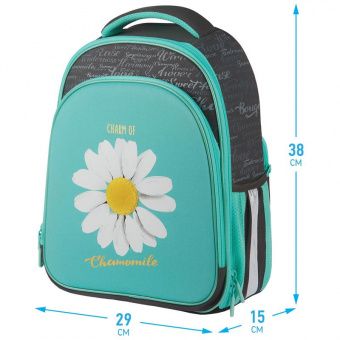 Ранец Berlingo Expert Plus "Chamomile" 38*29*15см, 2 отделения, 2 кармана, анатомическая спинка