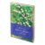 Записная книжка А6 80л. ЛАЙТ, кожзам, Greenwich Line "Vision. Van Gogh. Roses", тон. блок, зол. срез Записная книжка А6 80л. ЛАЙТ, кожзам, Greenwich Line "Vision. Van Gogh. Roses", тон. блок, зол. срез