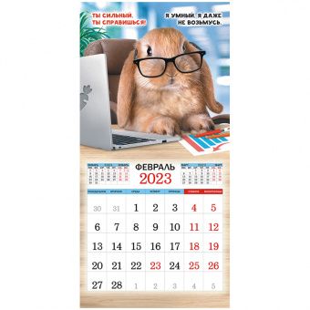 Календарь настенный перекидной на скрепке, 23*23 12л. ЛиС "Символ года", 2023г