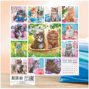 Календарь настенный перекидной на скрепке, 29*29 12л. ЛиС "Котята. Пушистик с клубочком", 2023г