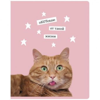 Тетрадь 60л., А5, клетка BG "Я не определилась", эконом