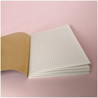 Записная книжка А5 24л., сшивка "Read woman", 90г/м2, золотое тиснение, тонированный блок