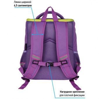 Ранец Berlingo облегченный Concept "Friendship" 35*27*16см, 1 отделение, 4 кармана, эргономичная спинка