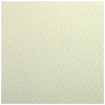 Цветная бумага 500*650мм, Clairefontaine "Etival color", 24л., 160г/м2, бледно-зеленый, легкое зерно, 30%хлопка, 70%целлюлоза