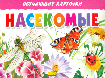 Обучающие карточки. Насекомые. 3+.